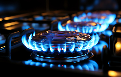 5001拉斯维加斯(中国游)有限公司-BinG百科